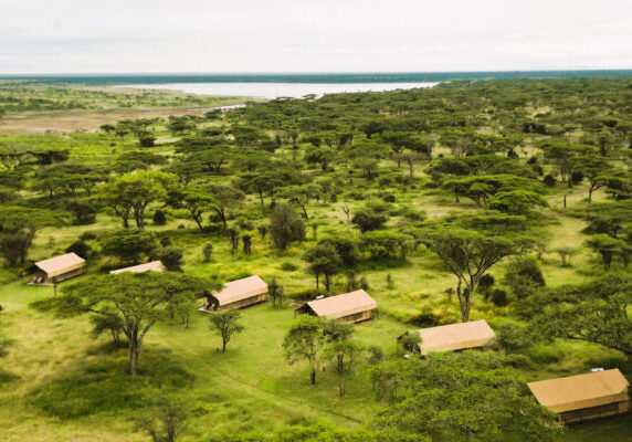 Africa Safari south Serengeti